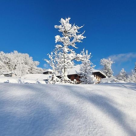 Le Refuge Du Montagnard Bed & Breakfast Marthod Exterior photo